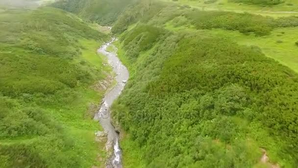 Vue aérienne. Belle crique de montagne dans la forêt verte d'été. Cours d'eau de montagne dans la forêt 
