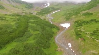 Havadan görünümü. Güzel dağ dere yeşil yaz ormanın içinde. Orman dağ dere