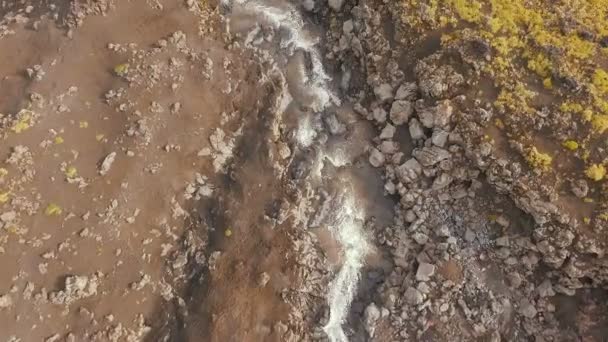 Vista aerea. Bellissimo torrente di montagna nel verde della foresta estiva. Ruscello di montagna nella foresta — Video Stock