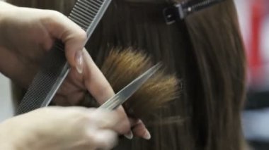 Kuaför kızı keser. Bir saç modeli için bir kadın yapıyor. Saç yakın çekim. Makas Kuaför
