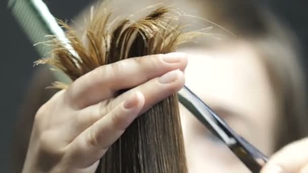 O cabeleireiro corta a rapariga. Faz um penteado para uma mulher. Corte de cabelo de perto. Tesoura estilista — Vídeo de Stock