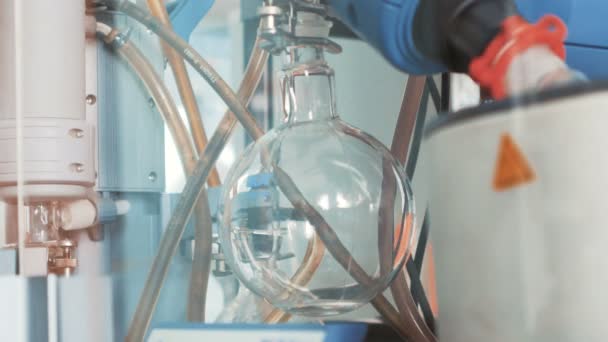 化学実験室。治療法を見つけるの科学者。化学者・ エンジニア - 研究室。化学者作品 — ストック動画