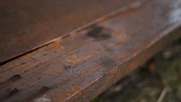 Gotas goteando sobre una tabla de madera. Filmación tardía de la lluvia en el campo. Textura madera — Vídeo de stock