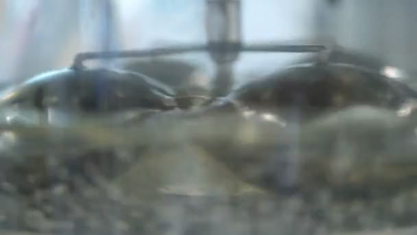Cairan transparan, air kaleng. Abstrkperias berputar dan diaduk dalam autoklaf. Simulasi arus eddy — Stok Video