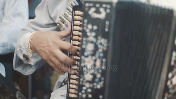 Ένας ενήλικος άντρας παίζει ακορντεόν σε μια εθνική φορεσιά. Παίζοντας μουσικό κουαρτέτο. Μουσικοί εκτελέσει στη συναυλία. Ο μουσικός παίζει ακορντεόν. Μουσικούς του δρόμου. — Αρχείο Βίντεο