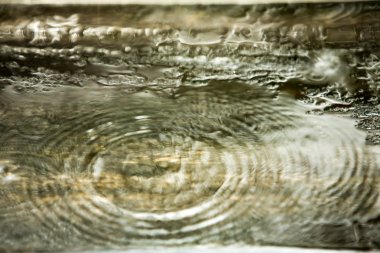 yağmur damlaları Wood, bulanıklık