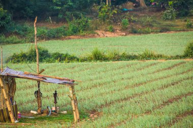 Retro su pompası alanları, Tayland