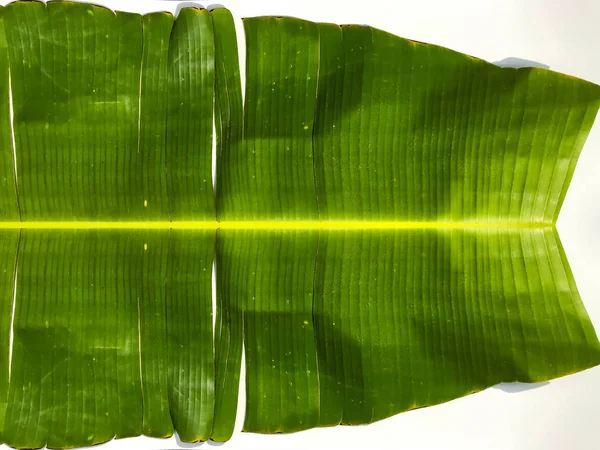 Hoja de plátano verde aislada sobre fondo blanco, hoja de plátano desi — Foto de Stock