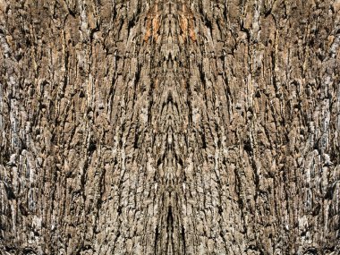 Ağaç yüzey dokusunu arka plan, yaratıcı ahşap arka plan