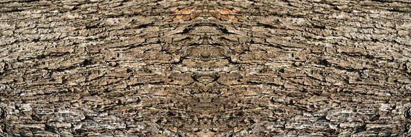 Texture de la surface de l'arbre, fond bois créatif — Photo