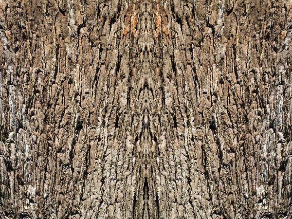 Drzewo chropowatości powierzchni tła, kreatywnych tle drewna — Zdjęcie stockowe