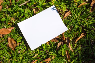 Beyaz kağıt üzerine çim doku arka plan, yaratıcı kavramı