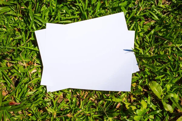 Weißes Papier auf Gras Textur Hintergrund, kreatives Konzept — Stockfoto