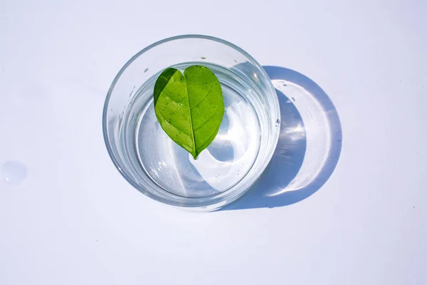 Форма сердечного листа в стакане воды изолированы на белом фоне — стоковое фото