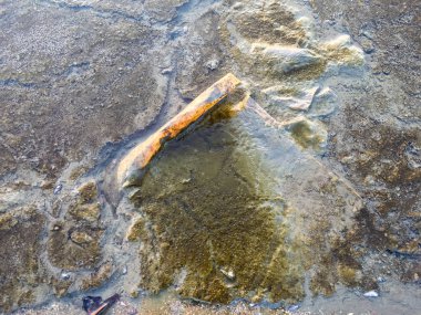 Kullanılan plastik torba sahilde plaj kirliliği