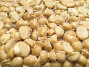 Macadamia Nut vakum plastik torba