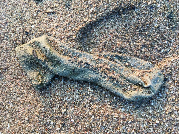 Грязная вязаная зимняя перчатка на пляже — стоковое фото
