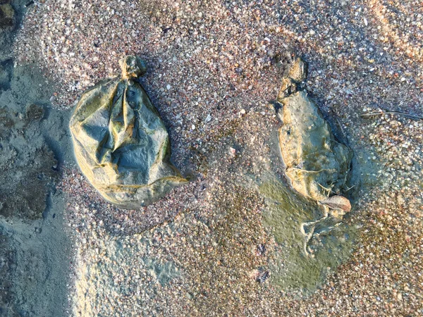 Gebrauchte Plastiktüten am Strand, Strandverschmutzung — Stockfoto