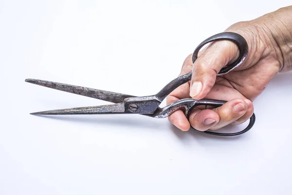 Senior woman's hands holding scissors isolated on white background, About tailor — Stock Photo, Image