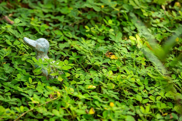 Une Statue Canard Décorée Dans Jardin Vert Foyer Sélectif Dans — Photo