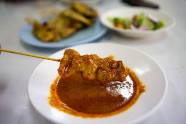 Fıstık soslu ve turşulu domuz eti sirkede salatalık ve soğan dilimleri, Makro 'yu kapat, Seçici odaklan