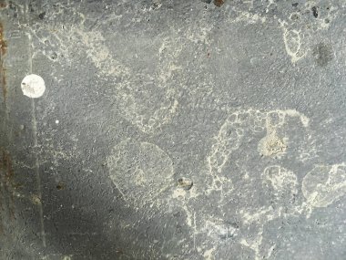 Pis, ham beton ya da çıplak beton duvar dokusu, arkaplan, gri renk.