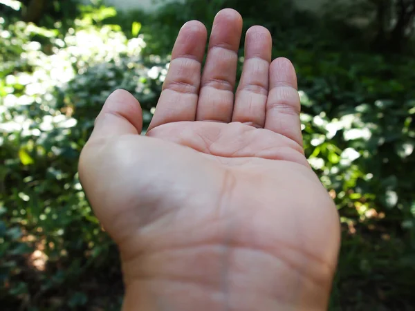 Mulher Mão Esquerda Acenando Bokeh Jardim Verde Fundo Close Macro — Fotografia de Stock