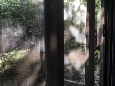 Toz ve Kirli Sivrisinek Tel Penceresi, Kapat ve Makro Çekim, Ev Konseptini Temizleme