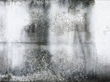 Soyut grunge beton doku arka planı, beyaz boyanmış renk, iç ve dış ev kavramı