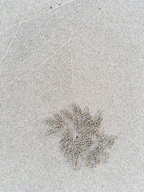 Yengeç yuvası, kumsal dokusunda çember ve delik deseni, soyut arka plan kavramı