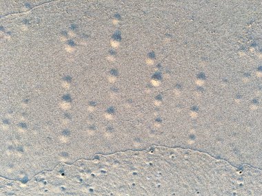 Kum plajı dokusunda daire ve delik deseni, Yengeç yuvası, soyut arkaplan kavramı