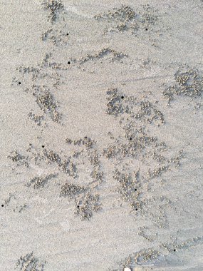 Yengeç yuvası, kumsal dokusunda çember ve delik deseni, soyut arka plan kavramı