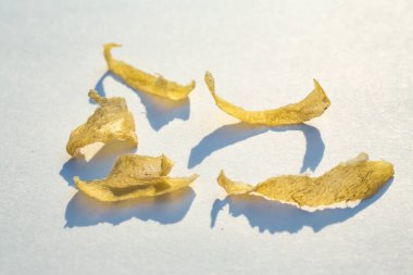 Topuk kırığı ve soyulmuş deri, kadın ayağı dermatiti beyaz arka planda, yakın çekim ve makro çekim, seçici odak, Asya vücut parçası, sağlık sigortası konsepti.