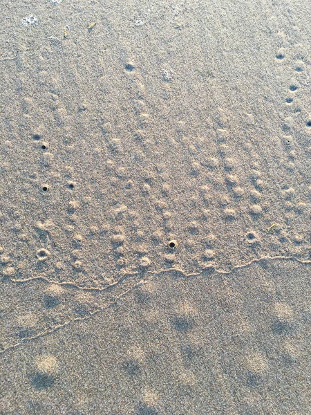 Cirkel Och Hål Mönster Sand Strand Struktur Krabba Abstrakt Bakgrund — Stockfoto