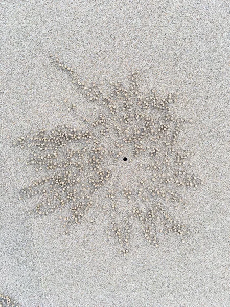 Nido Granchio Cerchio Modello Foro Sabbia Struttura Spiaggia Concetto Sfondo — Foto Stock