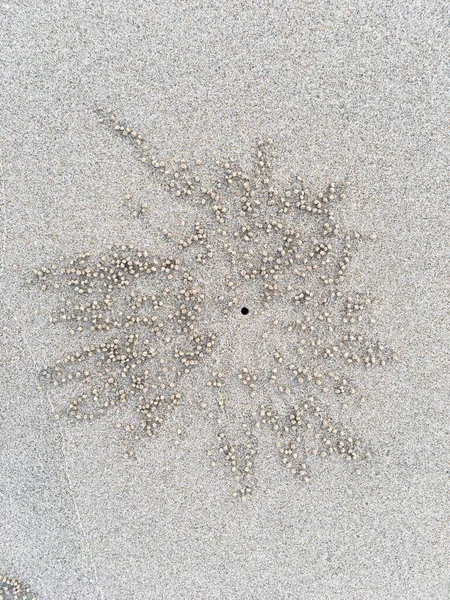 Krabba Cirkel Och Hål Mönster Sand Strand Struktur Abstrakt Bakgrund — Stockfoto