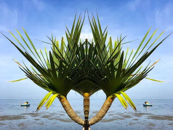 Trópusi Zöld Pálmafa Strandon Kék Elvont Természeti Háttér Kreativitás Minta — Stock Fotó