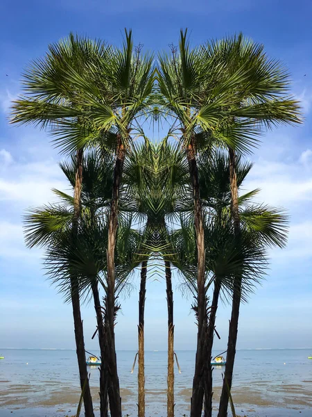 Tropisk Grön Palm Stranden Blå Himmel Abstrakt Naturlig Bakgrund Träd — Stockfoto