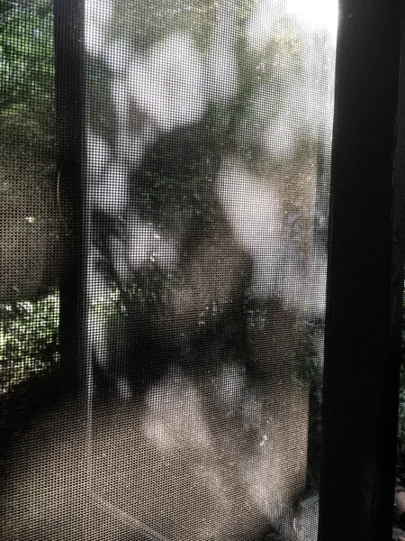 Toz Kirli Sivrisinek Tel Penceresi Kapat Makro Çekim Konseptini Temizleme — Stok fotoğraf