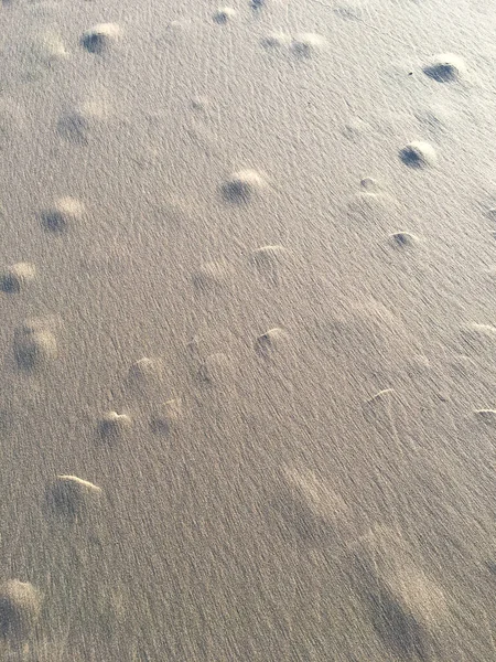 Лінії Візерунок Кола Текстурі Піщаного Пляжу Гніздо Краба Концепція Абстрактного — стокове фото