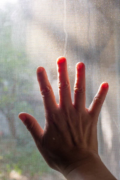 Mano Derecha Mujer Tocando Polvo Sucio Mosquito Alambre Pantalla Ventana — Foto de Stock