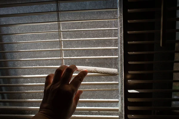 Woman's left hand opening dust blinds inside a window, Blurred dust and Dirty mosquito wire screen window, Light & Shadow shot, Close up shot, Selective focus — Stockbild Woman Left Hand Opening Dust Blinds Window Blurred Dust Dirty — Stockfoto