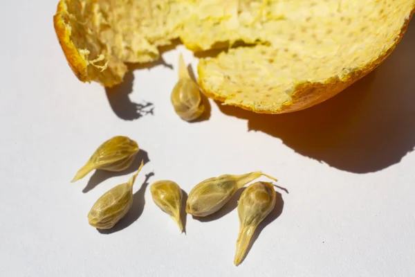 Pomerančová Semena Ovoce Pomerančová Slupka Bílém Pozadí Stolu Detail Selektivní — Stock fotografie