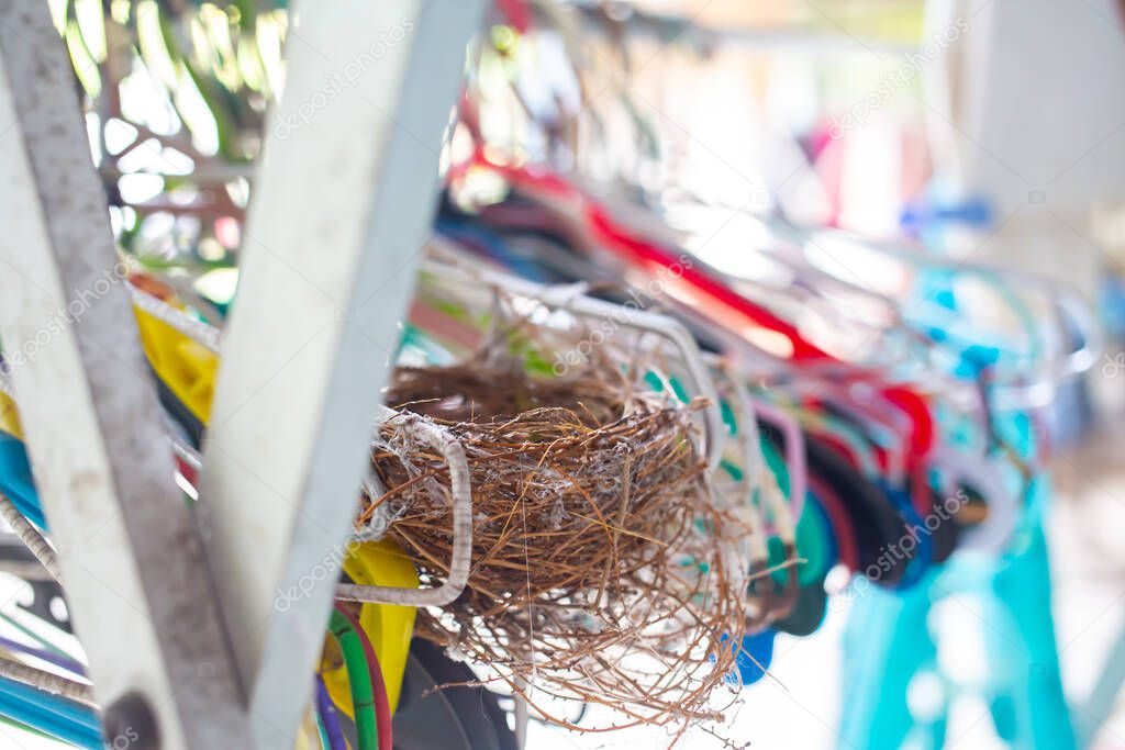Bird's nest clinging coat hangers, Close up shot, Biology life concept