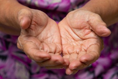 Senior woman's hands cupped hands showing something, Close up & Macro shot, Selective focus, Asian body skin part, Symbol, Gesturing, Body Language concept
