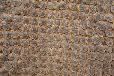 Eski yuvarlak kahverengi halı dokusu, desen polka nokta yakın çekim, oturma odası ve banyo konsepti