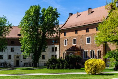 Bahar yeşil ağaç Wawel Castle, Crac eski bina önünde