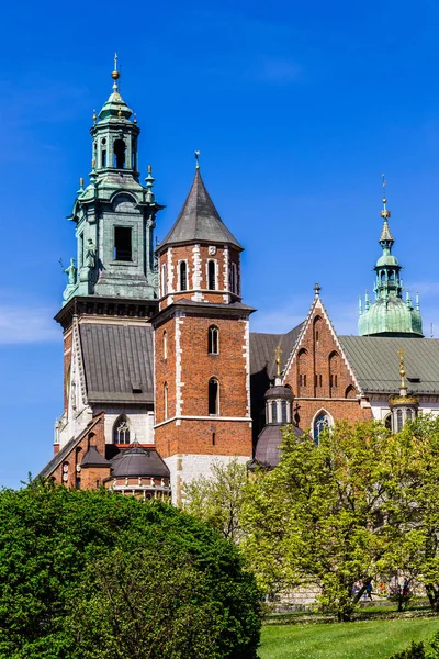 Torres de techo de la catedral en el castillo de Wawel, Cracovia, Polonia . — Foto de Stock