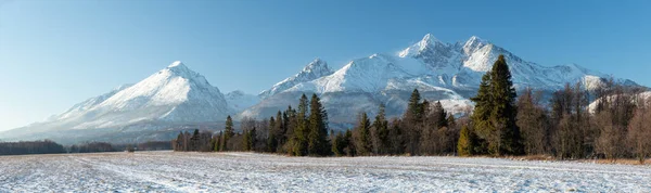 Panorama Utsikt Över Höga Tatrabergen Och Landskap Täckt Med Snö — Stockfoto