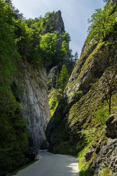 Curvy Road Steep Rocks Maninska Tiesnava Gorge Strazovske Vrchy Mountains — Stock Photo, Image